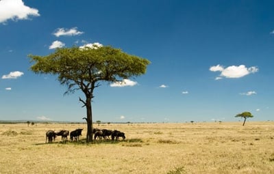 KENYA