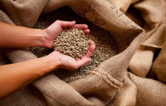 Bedste kop kaffe